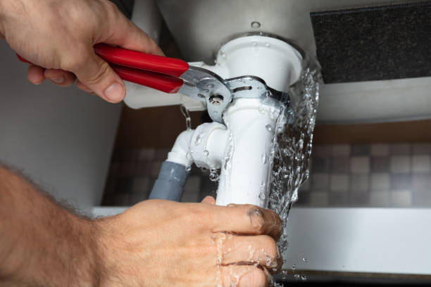 Best Mold removal after water damage  in Sikeston, MO