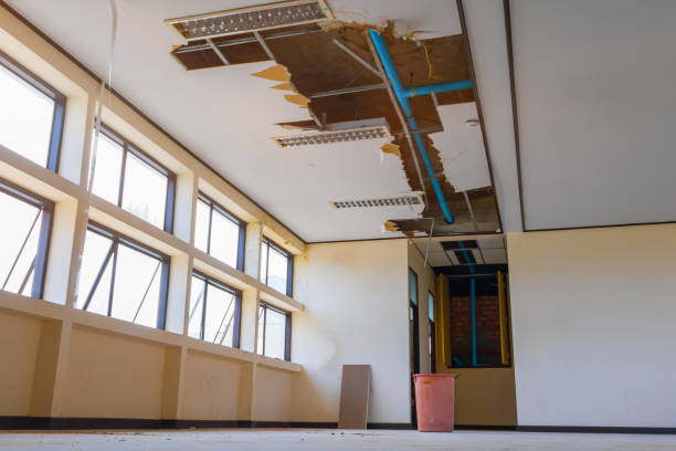 Best Professional water damage repair  in Sikeston, MO