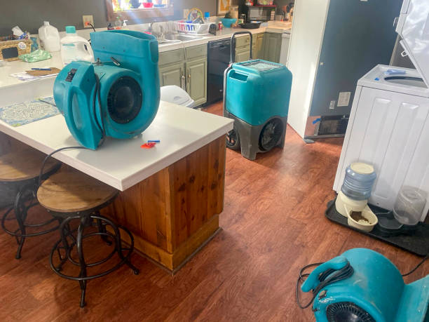 Best Flooded house restoration  in Sikeston, MO